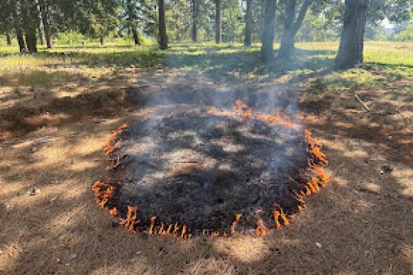 Spot Fire Drills For New Fire Practitioners 